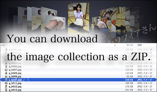 You can download the image collection as a ZIP.